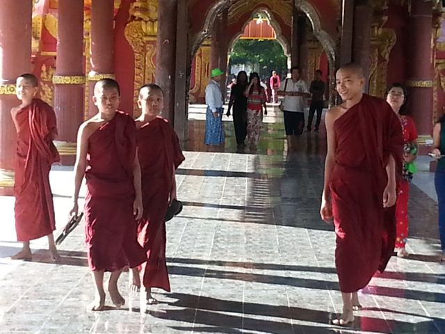 Monks strolling through the calm of the pagoda