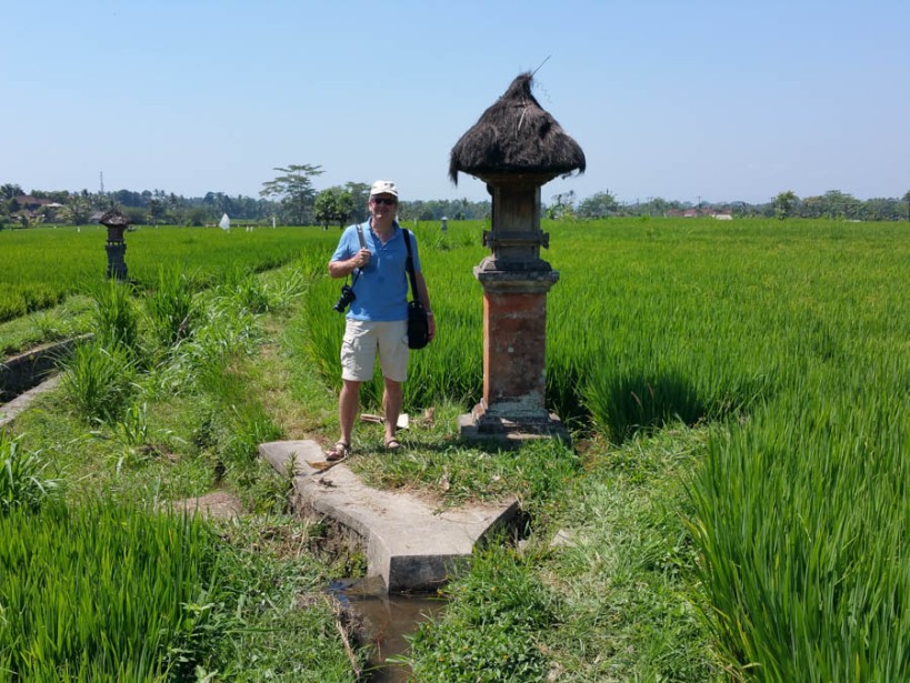 Shrines in the paddy