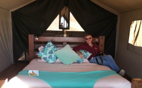 Our luxury tent
